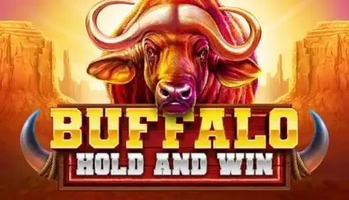Buffalo Hold and Win