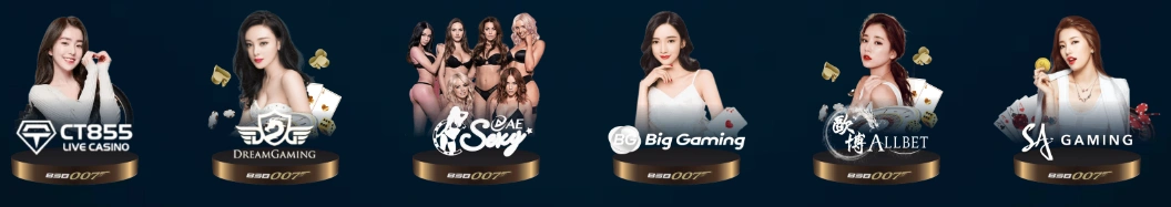 Software Providers Powering BSB007